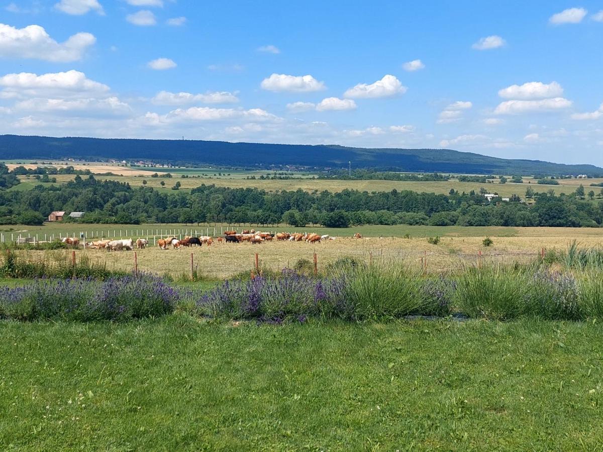 Vila Panorama House Brdy Příbram Exteriér fotografie