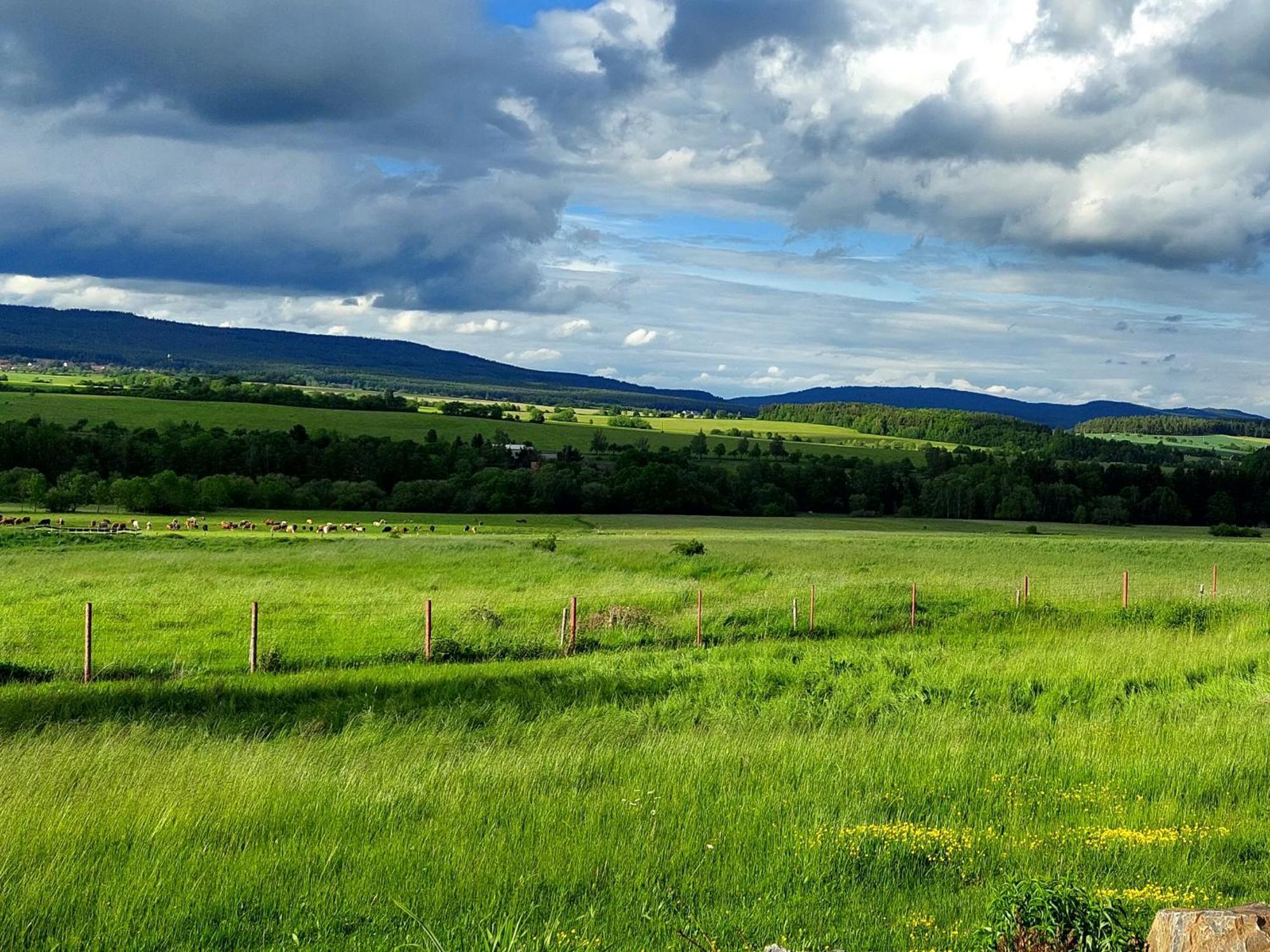 Vila Panorama House Brdy Příbram Exteriér fotografie